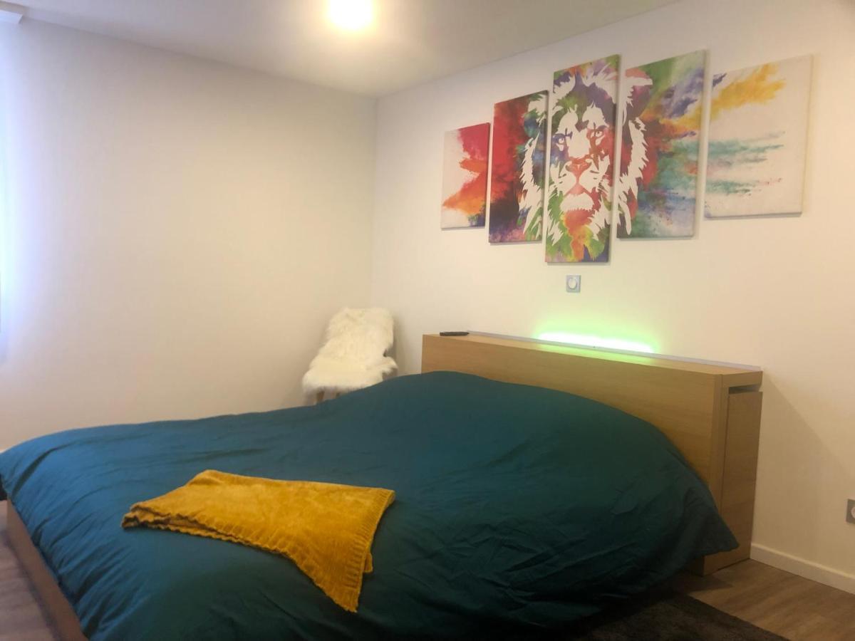 The Family Industry Apartment Colmar Luaran gambar